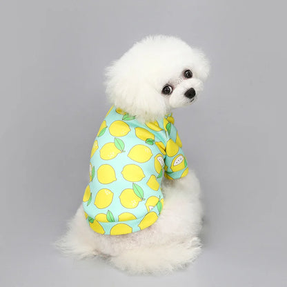 2025 New Pet Cartoon Print Fleece-lined Pet Hoodie Coat for Chihuahua Puppy Cat Winter Warm Dogs Sweatshirt Vest for Small  Dog